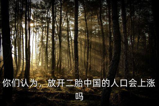 你們認為，放開二胎中國的人口會上漲嗎