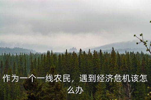 作為一個一線農民，遇到經濟危機該怎么辦