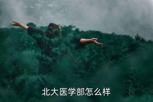 北大醫藥利潤怎么樣,醫藥板塊繼續領跑