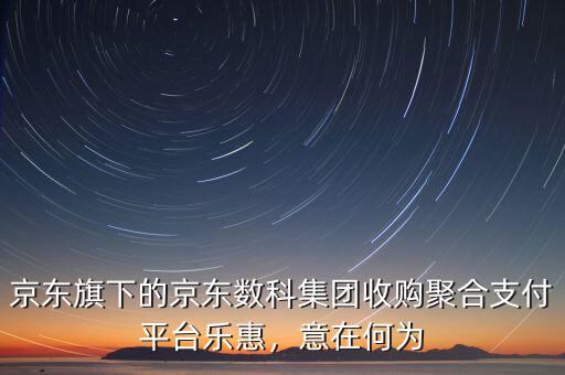 京東旗下的京東數科集團收購聚合支付平臺樂惠，意在何為