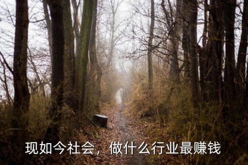 現(xiàn)如今社會(huì)，做什么行業(yè)最賺錢
