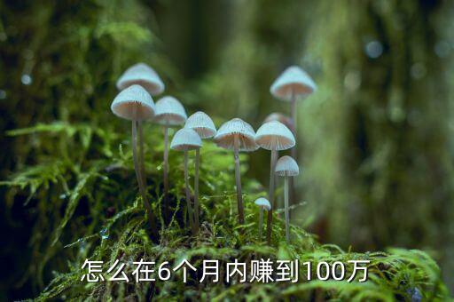 怎么在6個月內賺到100萬