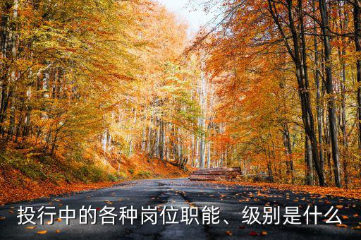 投行內核是做什么的,投行是做什么的
