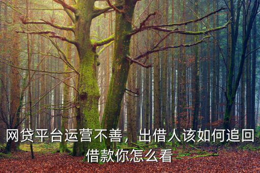 網貸平臺運營不善，出借人該如何追回借款你怎么看