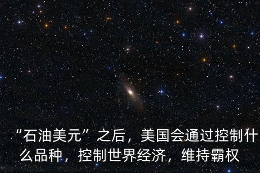 “石油美元”之后，美國會通過控制什么品種，控制世界經濟，維持霸權