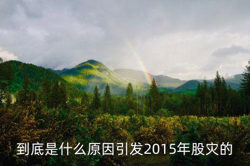到底是什么原因引發2015年股災的