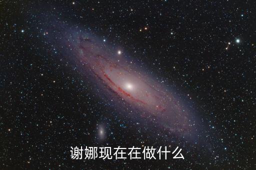 謝娜現在在做什么