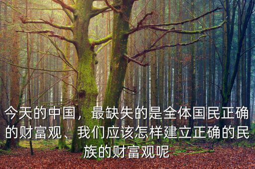 今天的中國(guó)，最缺失的是全體國(guó)民正確的財(cái)富觀、我們應(yīng)該怎樣建立正確的民族的財(cái)富觀呢