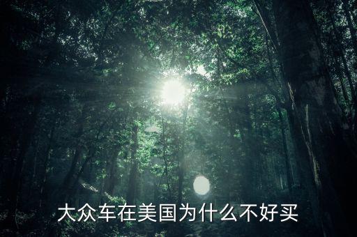 美國(guó)為什么調(diào)查大眾,大眾車在美國(guó)為什么不好買