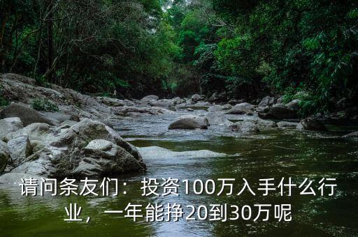請問條友們：投資100萬入手什么行業，一年能掙20到30萬呢