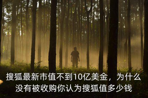 搜狐最新市值不到10億美金，為什么沒有被收購你認(rèn)為搜狐值多少錢