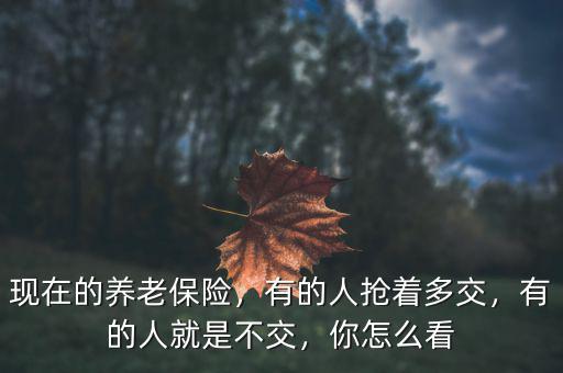 中國有多少人停止交養老保險,現在的養老保險