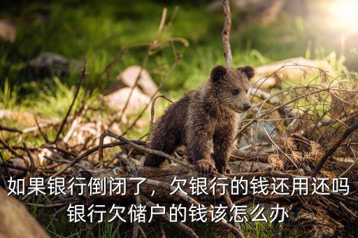 銀行破產了欠款怎么辦,銀行欠儲戶的錢該怎么辦