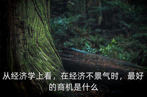 從經濟學上看，在經濟不景氣時，最好的商機是什么