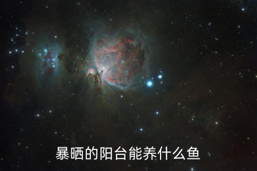 暴曬的陽臺能養什么魚