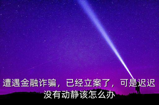 遭遇金融詐騙，已經(jīng)立案了，可是遲遲沒有動靜該怎么辦