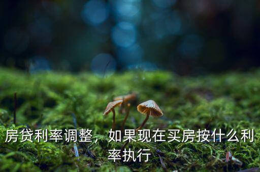 房貸利率調整，如果現在買房按什么利率執行