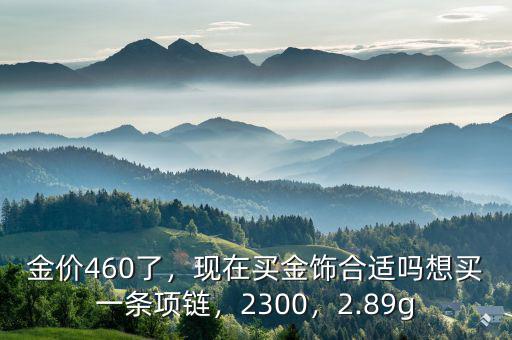 金價460了，現在買金飾合適嗎想買一條項鏈，2300，2.89g