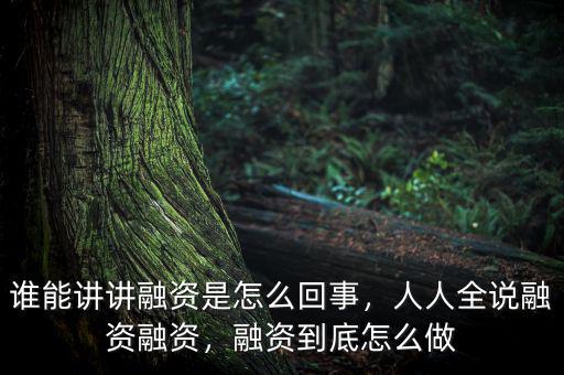 誰能講講融資是怎么回事，人人全說融資融資，融資到底怎么做