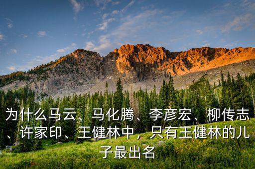為什么馬云、馬化騰、李彥宏、柳傳志、許家印、王健林中，只有王健林的兒子最出名