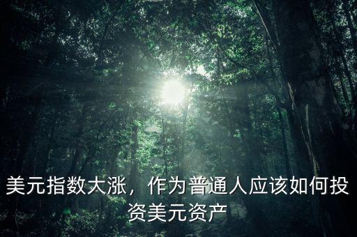美元指數大漲，作為普通人應該如何投資美元資產