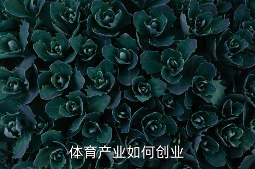 體育產業包括什么,體育產業如何創業