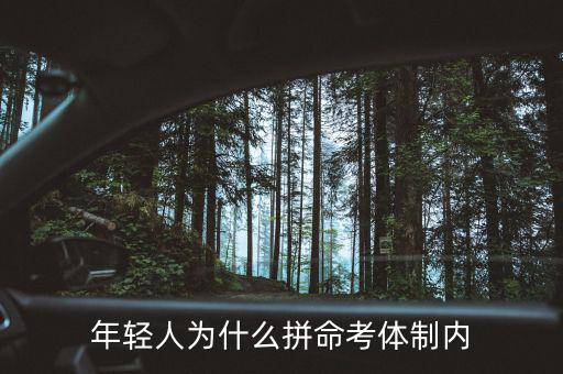 為什么拼命要進體制內,體制內的工作工資不高