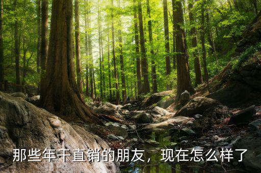 做雅芳直銷怎么樣,創業選擇直銷行業怎么樣