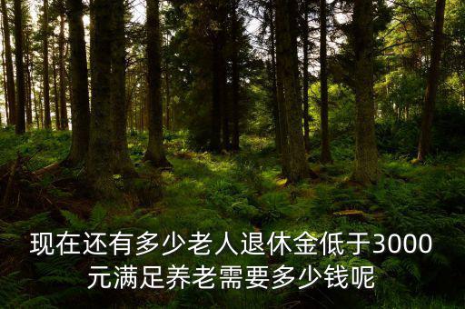 現在還有多少老人退休金低于3000元滿足養老需要多少錢呢