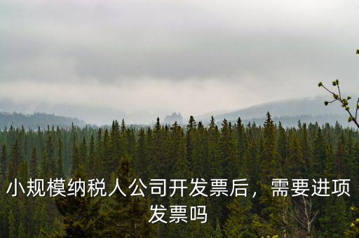小規模納稅人公司開發票后，需要進項發票嗎