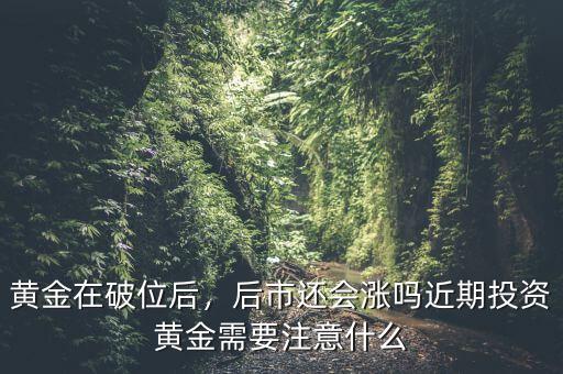 黃金在破位后，后市還會(huì)漲嗎近期投資黃金需要注意什么