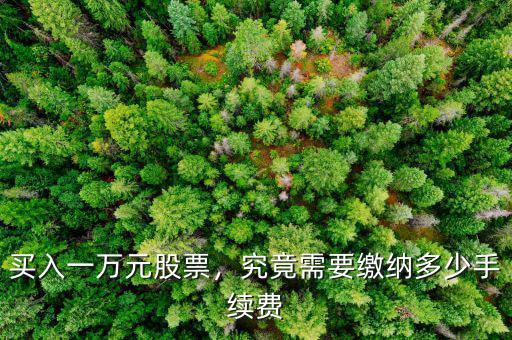 買入一萬元股票，究竟需要繳納多少手續費