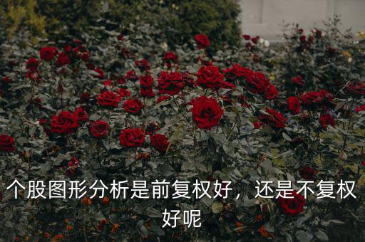 股票不復權和前復權什么意思,不復權和后復權有什么區別