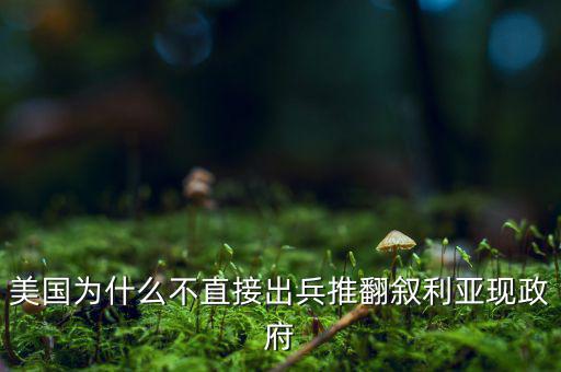 美國為什么不直接出兵推翻敘利亞現政府