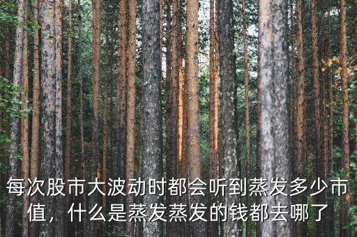 中國股市蒸發了多少錢,蒸發的錢都去哪了
