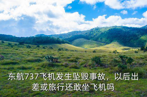 東航737飛機發生墜毀事故，以后出差或旅行還敢坐飛機嗎