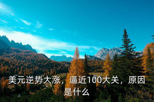 什么原因美元漲,美元持續升值的原因是什么