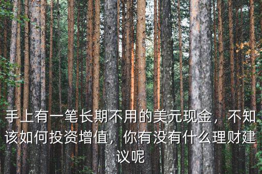 手上有一筆長(zhǎng)期不用的美元現(xiàn)金，不知該如何投資增值，你有沒(méi)有什么理財(cái)建議呢