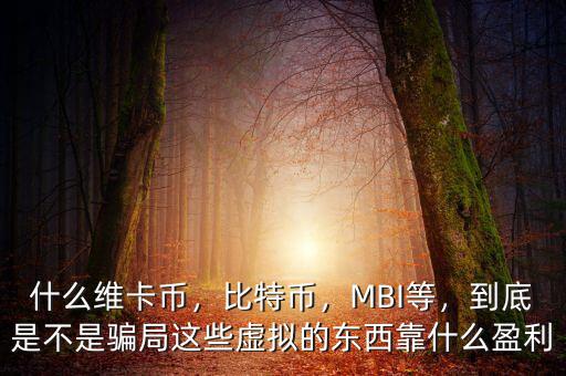 什么維卡幣，比特幣，MBI等，到底是不是騙局這些虛擬的東西靠什么盈利