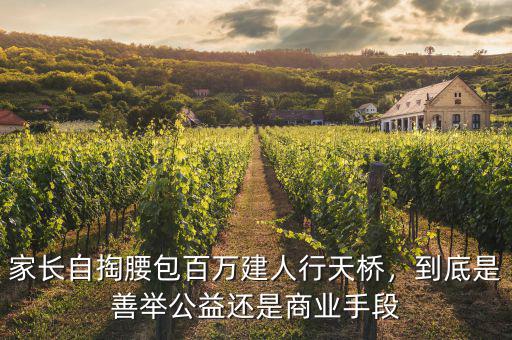 怎么用商業手段做公益,用公益的心態做商業好