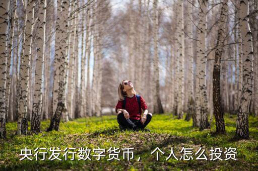 數字貨幣怎么使用,央行數字貨幣如何使用