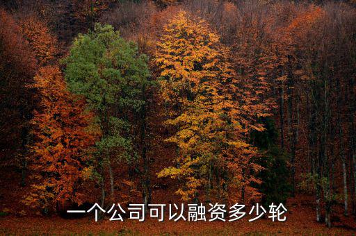 融資有多少輪,B輪和C輪有什么區別