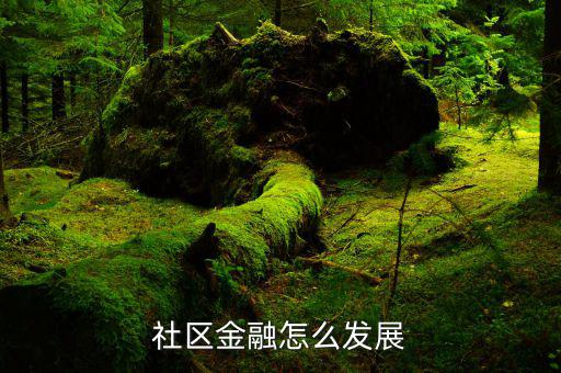 社區銀行怎么做,社區團購怎么做