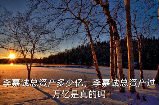 李嘉誠總資產多少億，李嘉誠總資產過萬億是真的嗎