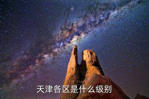 魏鵬遠是什么級別,天津各區是什么級別