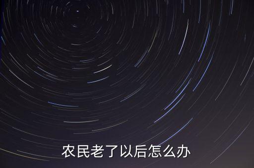 農民老了以后怎么辦