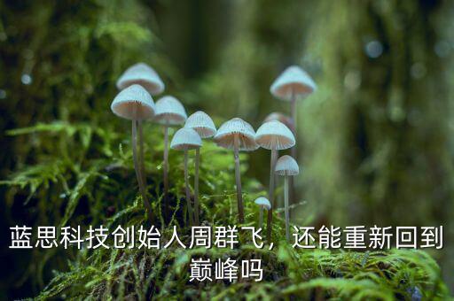 藍思科技創始人周群飛，還能重新回到巔峰嗎