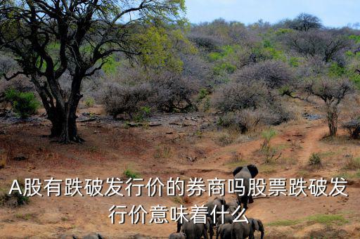 跌破發行價的股票會怎么樣,股票跌破發行價意味著什么