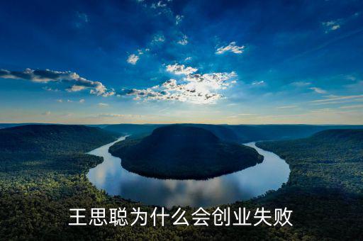 王思聰為什么會創業失敗
