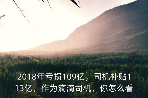 2018年虧損109億，司機(jī)補(bǔ)貼113億，作為滴滴司機(jī)，你怎么看